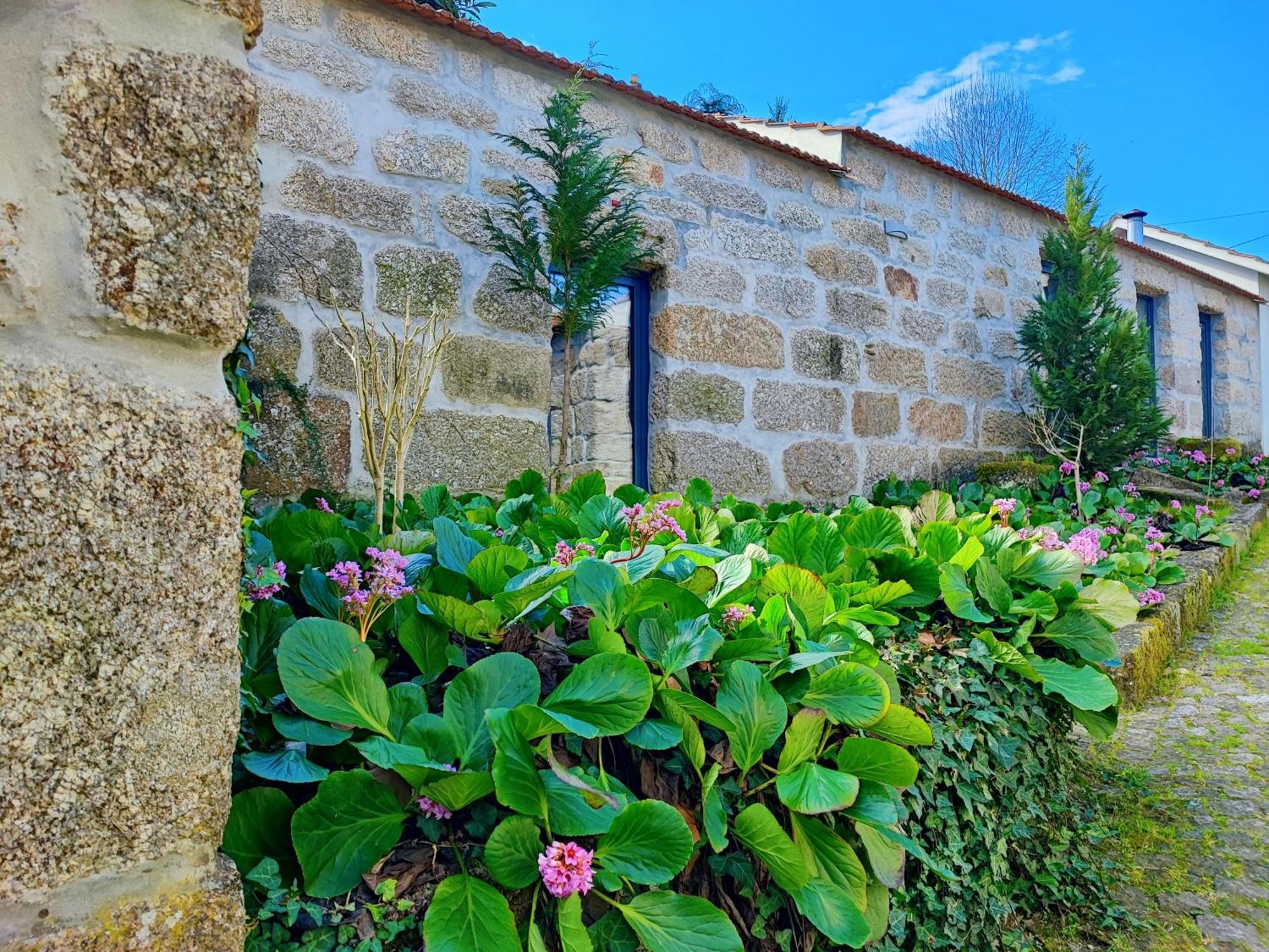 Agroturismo Quinta De Travancela Амаранте Экстерьер фото